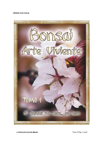 Bonsai Arte Viviente Iv