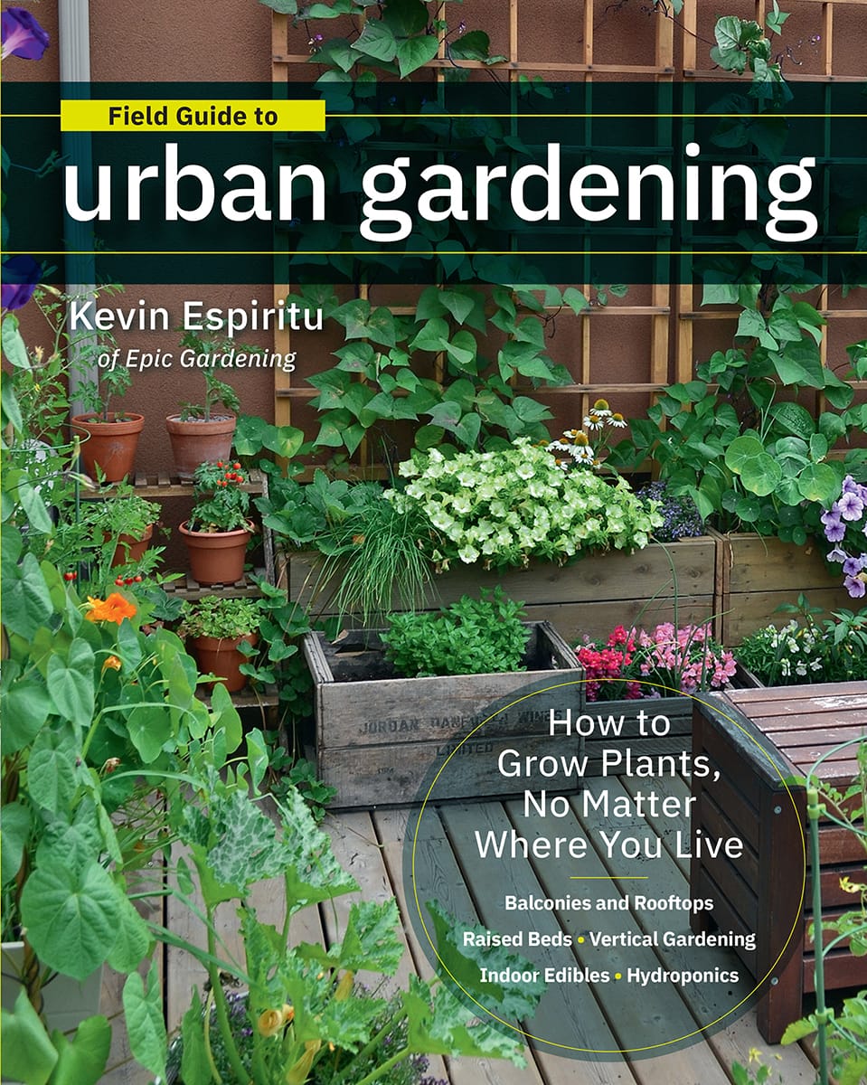 Field guide to urban gardening: sort through the small-space options and get growing today