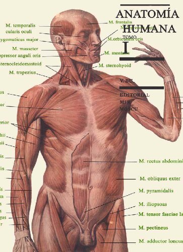 Anatomia Humana