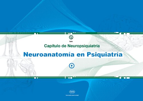 Neuroanatomia En Psiquiatria