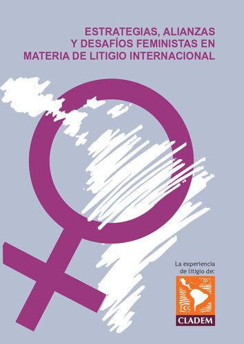 Estrategias Alianzas Y Desafios Feministas En Materia De Litigio Internacional