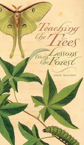 Teaching the Trees: Lessons from the Forest