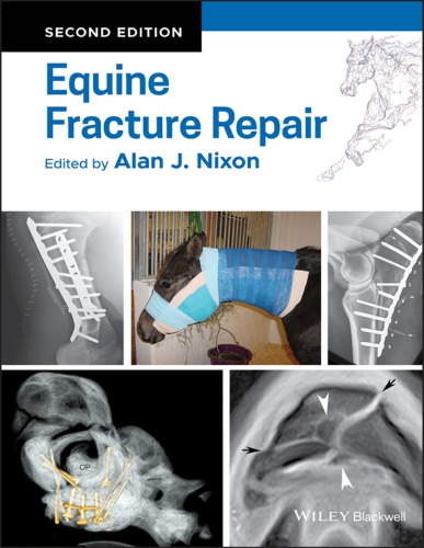 Equine fracture repair