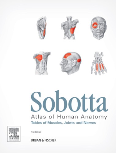 Sobotta Atlas of human anatomy. Tables of muscles, joints, and nerves