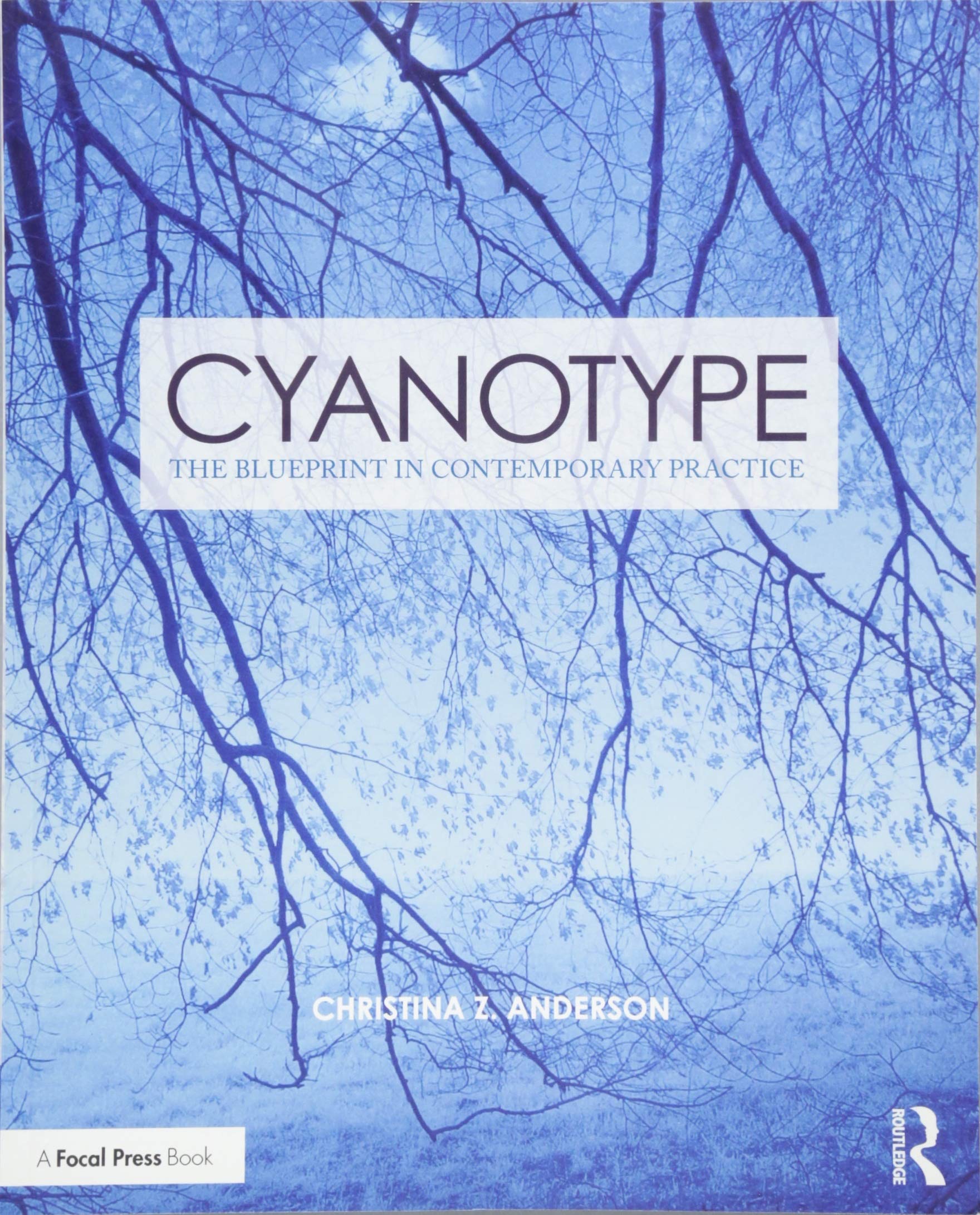 Cyanotype: The Blueprint in Contemporary Practice