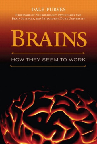 Brains: how they seem to work