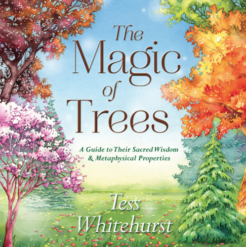 The magic of trees: a guide to their sacred wisdom and metaphysical properties