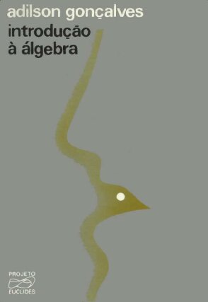 Introdução à Álgebra