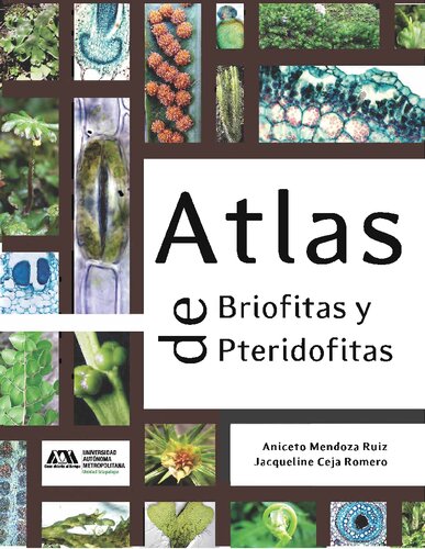 Atlas de briofitas y pteridofitas