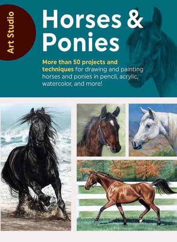 Art Studio: Horses & Ponies