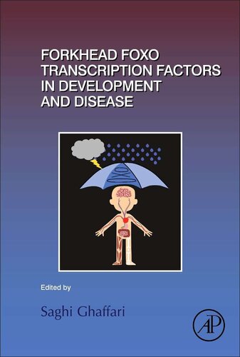 Forkhead FOXO Transcription Factors in Development and Disease