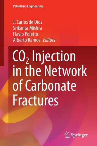 CO2 Injection in the Network of Carbonate Fractures