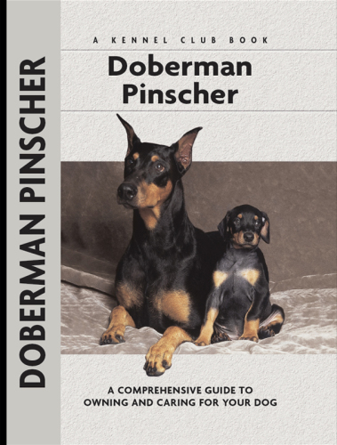 Doberman Pinscher