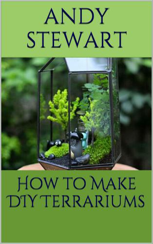 How to Make DIY Terrariums