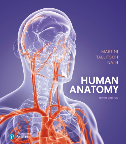 Human Anatomy