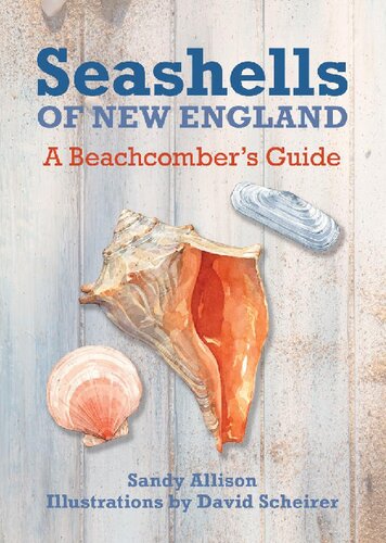 Seashells of New England: A Beachcomber's Guide