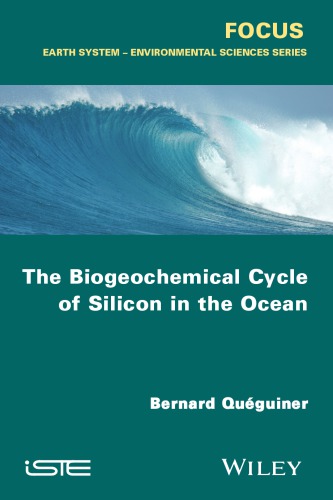 The Biogeochemical Cycle of Silicon in the Ocean