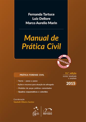 Manual de prática civil (11a. ed.)