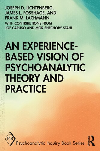 An Experience-based Vision of Psychoanalytic Theory and Practice: Seeking, Feeling, and Relating (Psychoanalytic Inquiry Book Series)