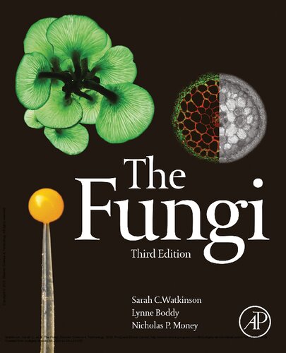 The Fungi