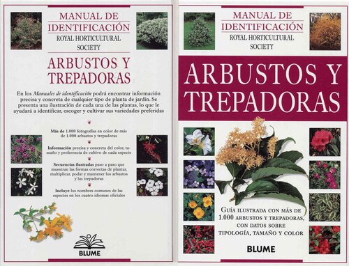 Arbustos y trepadoras