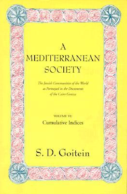 A Mediterranean Society: The Jewish Communities of the Arab World as Portrayed in the Documents of the Cairo Geniza, Volume VI: Cumulative Indices