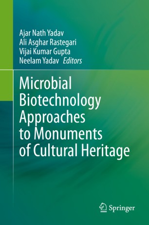 Microbial Biotechnology Approaches to Monuments of Cultural Heritage