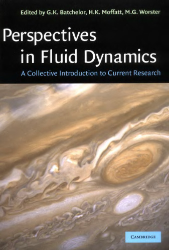 Perspectives in fluid dynamics