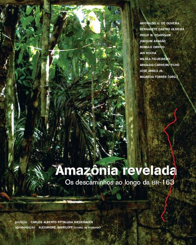 Amazônia revelada: os descaminhos ao longo da BR-163