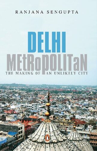 Delhi Metropolitan: The Making of an Unlikely City