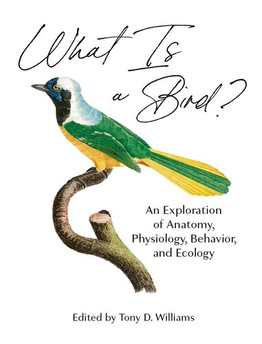 What Is a Bird?: An Exploration of Anatomy, Physiology, Behavior, and Ecology