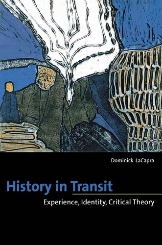 History in Transit: Experience, Identity, Critical Theory