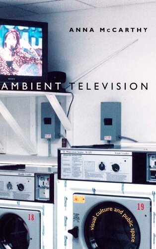 Ambient Television: Visual Culture and Public Space