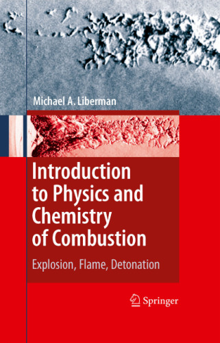 Introduction to Physics and Chemistry of Combustion: Explosion, Flame, Detonation