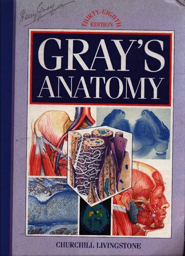 Gray's anatomy - the anatomical basis of medicine and surgery