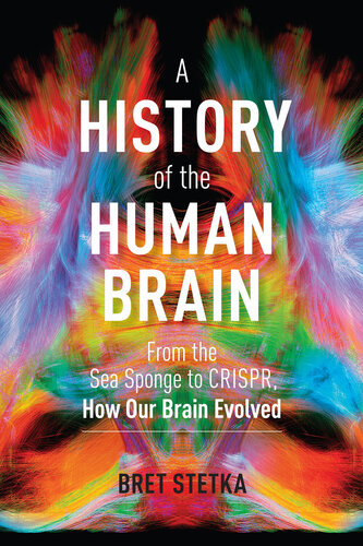 A History of the Human Brain