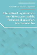 International Organisations, Non-State Actors and the Formation of Customary International Law