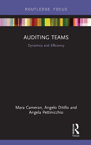 Auditing Teams: Dynamics and Efficiency