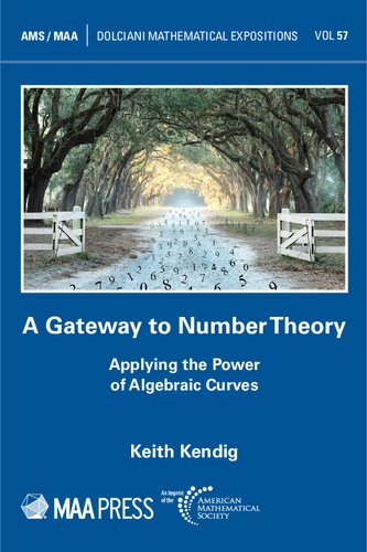 A Gateway to Number Theory - Applying the Power of Algebraic Curves