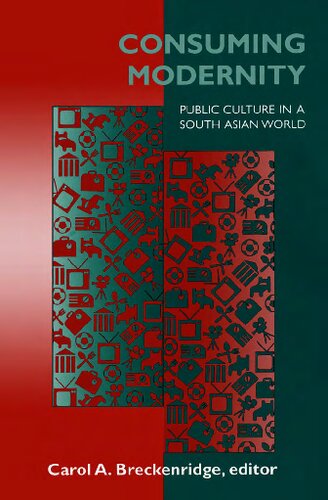 Consuming modernity : public culture in a South Asian world