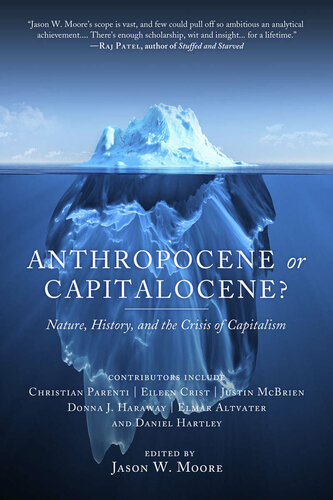 Anthropocene or Capitalocene? Nature, History, and the Crisis of Capitalism