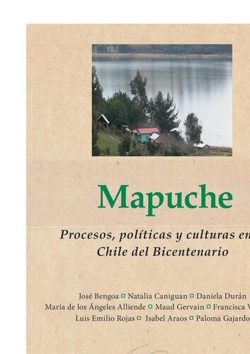 Mapuche: Procesos, políticas y culturas en el Chile del Bicentenario