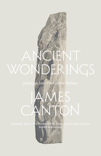 Ancient wonderings : a tale of obsessions with prehistoric Britain