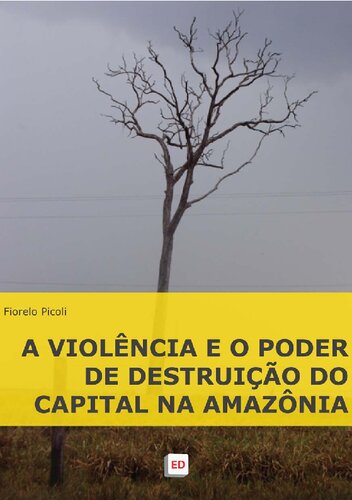 A violência e o poder de destruição do capital na Amazônia