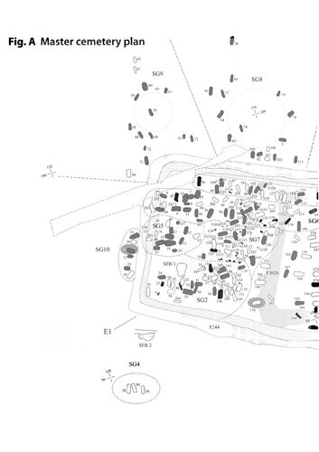 Wasperton: A Roman, British and Anglo-Saxon Community in Central England