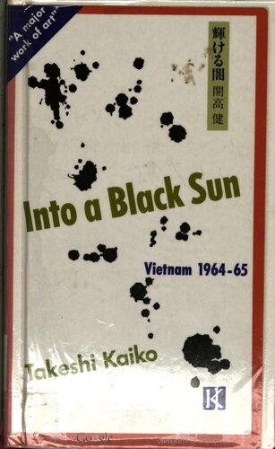 Into a black sun : Vietnam 1964-65