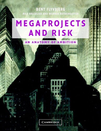 Megaprojects and Risk: An Anatomy of Ambition