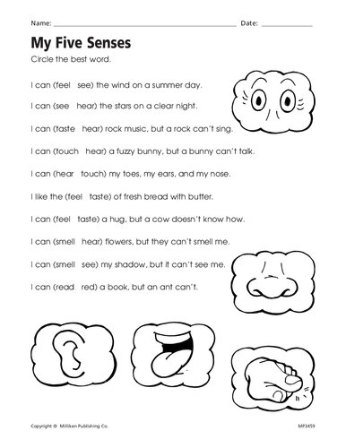 Sensory Words (CCSS RL. 1. 4) : Aligns to CCSS RL. 1. 4: Identify Words and Phrases in Stories or Poems That Suggest Feelings or Appeal to the Senses.