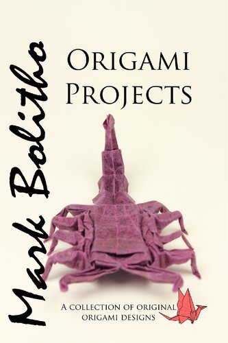 Origami Projects