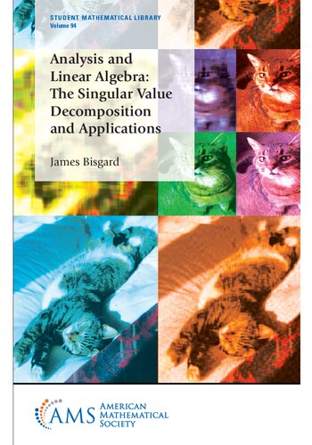 Analysis and Linear Algebra: The Singular Value Decomposition and Applications